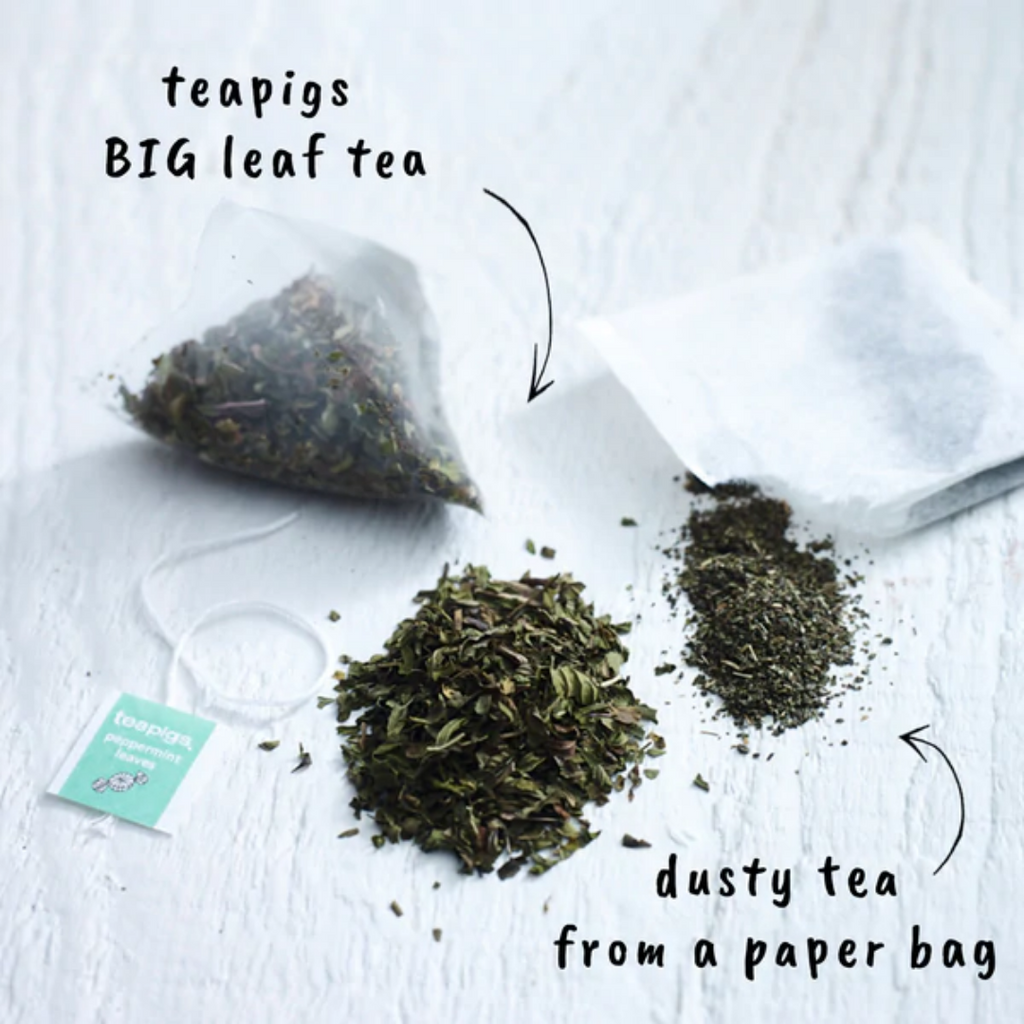 TeaPigs Peppermint Tea | Select Pack